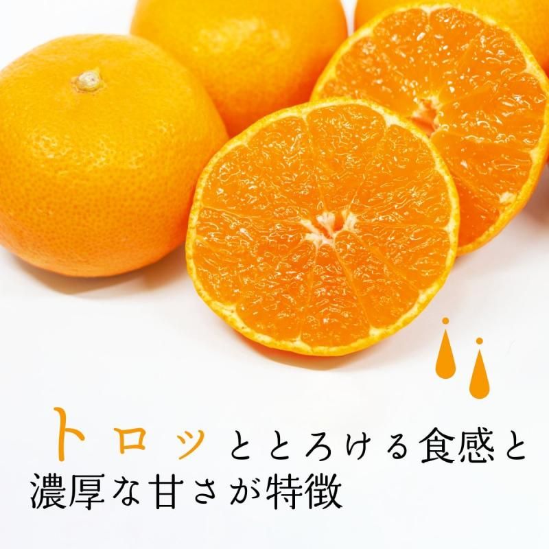 ͽʡδݶ ξߤ S~L 5kg