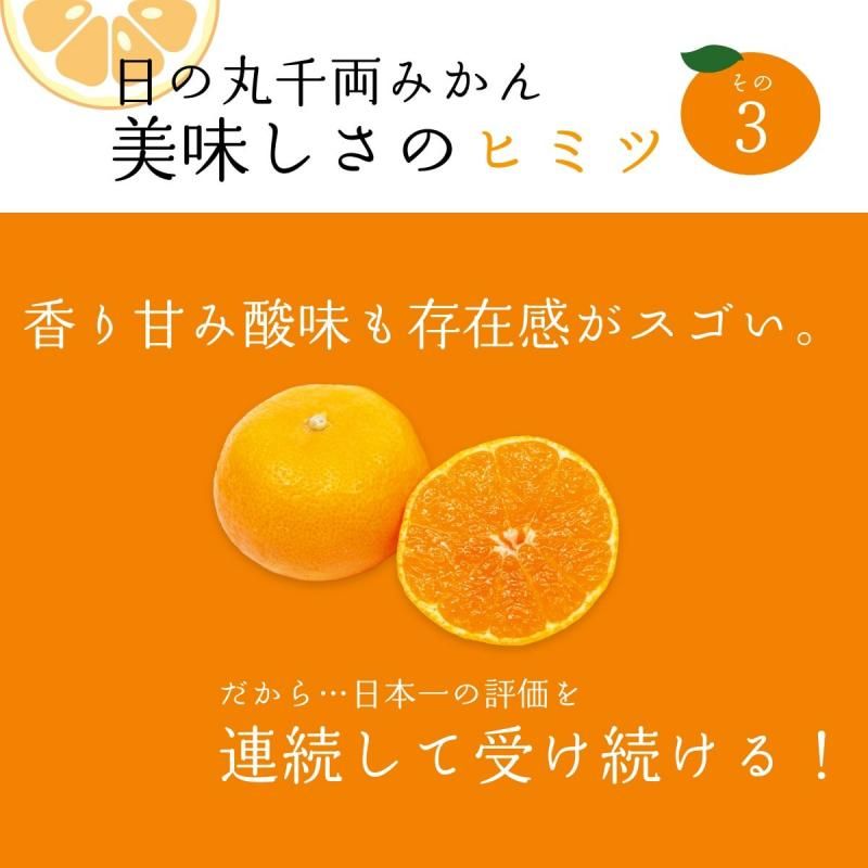 ͽʡδݶ ξߤ S~L 5kg