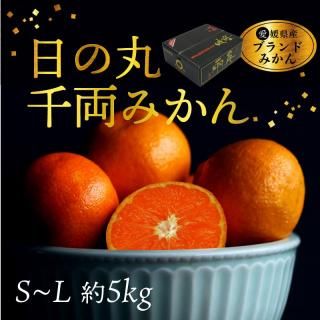 ͽʡδݶ ξߤ S~L 5kg