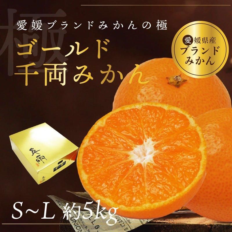 日の丸共選 ゴールド千両みかん S~L 約5kg【送料無料（北海道・沖縄を