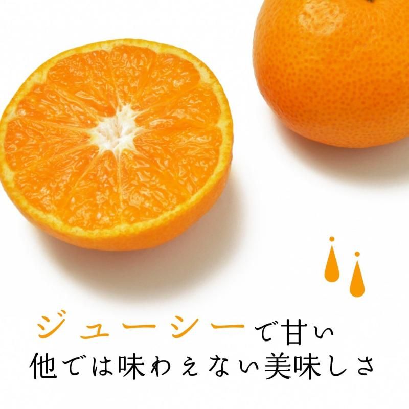 δݶ ξߤ S~L 5kg̵̳ƻˡ