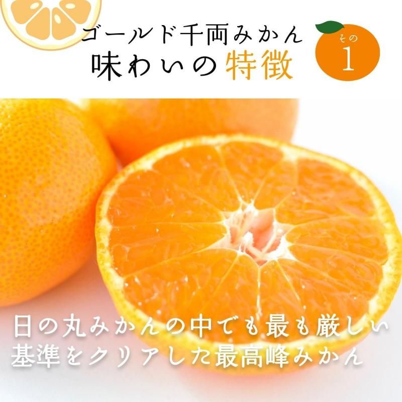 δݶ ξߤ S~L 5kg̵̳ƻˡ