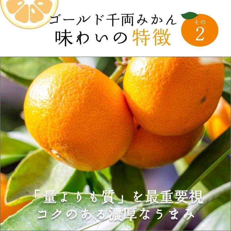 δݶ ξߤ S~L 5kg̵̳ƻˡ