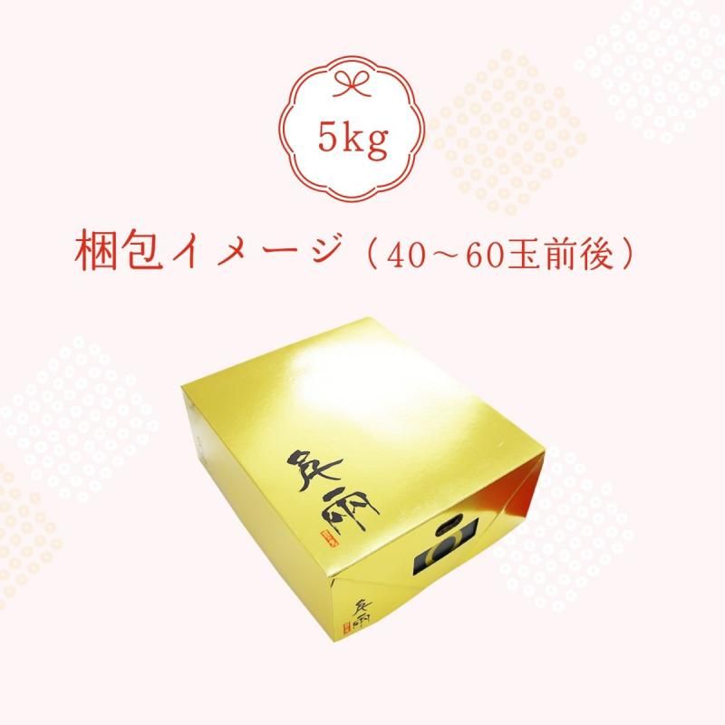 δݶ ξߤ S~L 5kg̵̳ƻˡ