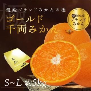 ͽʡδݶ ξߤ S~L 5kg̵̳ƻˡ