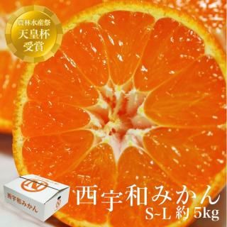 ͽʡ ߤ  S~L 5kg ӡ