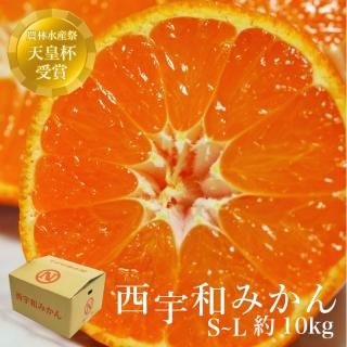 ͽʡ ߤ  S~L 10kg̵̳ƻˡ