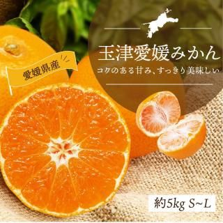 玉津共選 温州みかん 優品 S~L 約3kg - えひめギフトセンター｜愛媛の