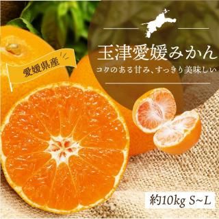 玉津共選 温州みかん 優品 S~L 約5kg - えひめギフトセンター｜愛媛の