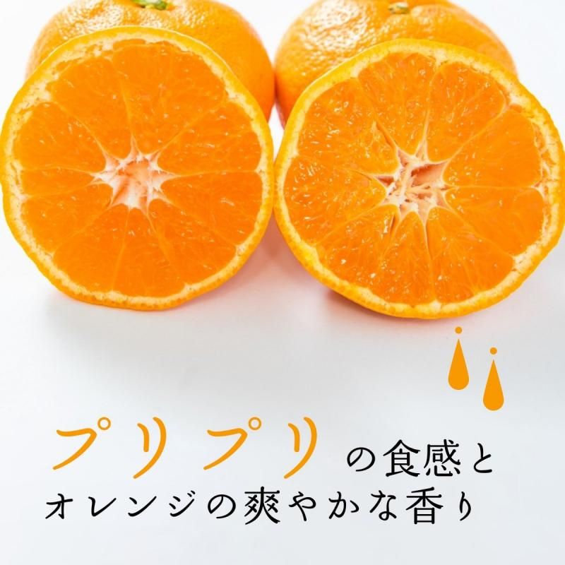 ͽʡۤϤҤߤ  M~2L 5kg ӡ