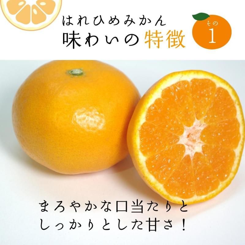 ͽʡۤϤҤߤ  M~2L 5kg ӡ