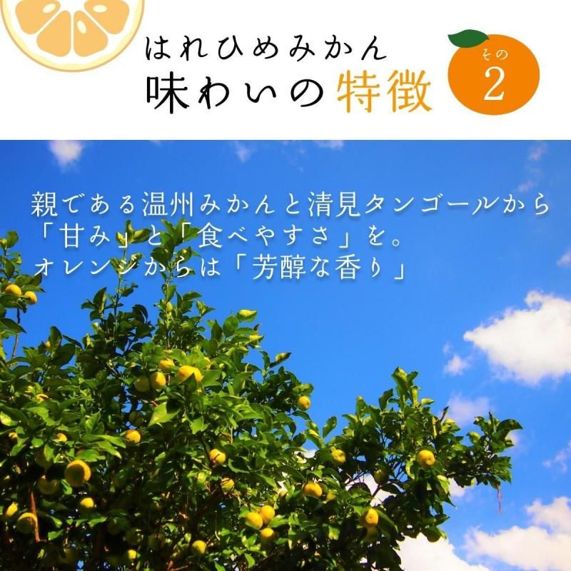 ͽʡۤϤҤߤ  M~2L 5kg ӡ