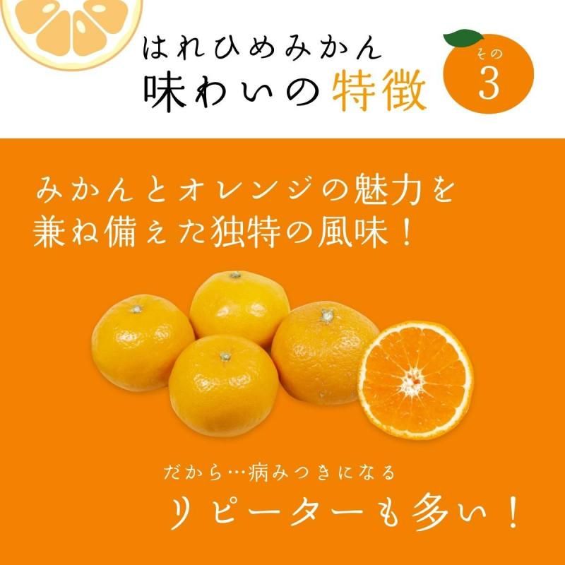 ͽʡۤϤҤߤ  M~2L 5kg ӡ