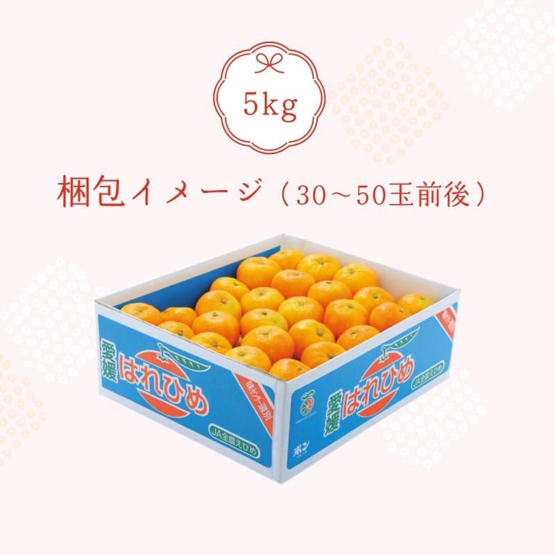 ͽʡۤϤҤߤ  M~2L 5kg ӡ