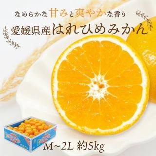 ͽʡۤϤҤߤ  M~2L 5kg ӡ
