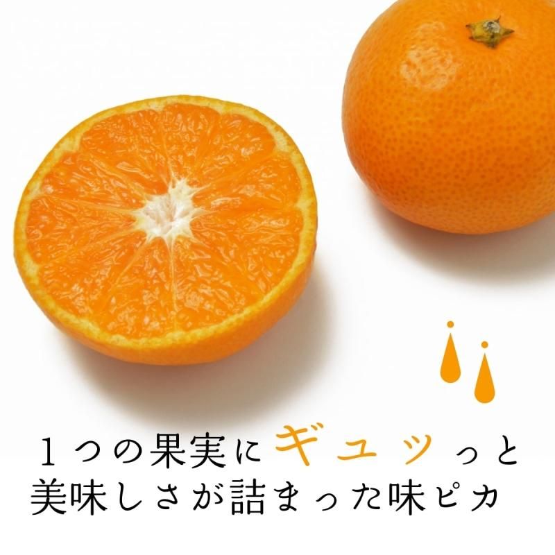ͽʡJAˤ 嶦 ̣ԥߤýʡS~L 5kg̵̳ƻˡ