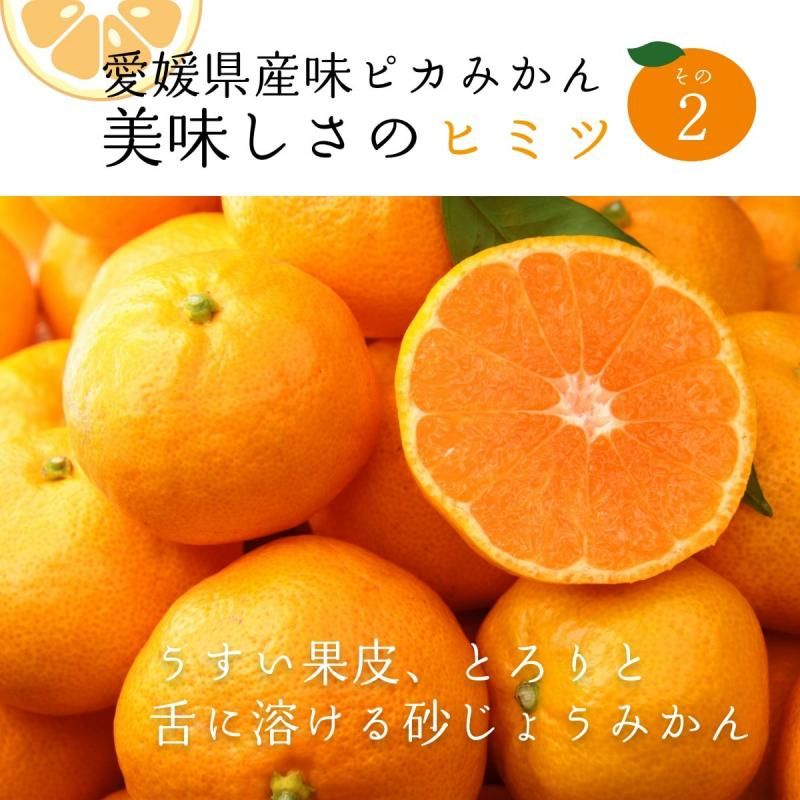 ͽʡJAˤ 嶦 ̣ԥߤýʡS~L 5kg̵̳ƻˡ
