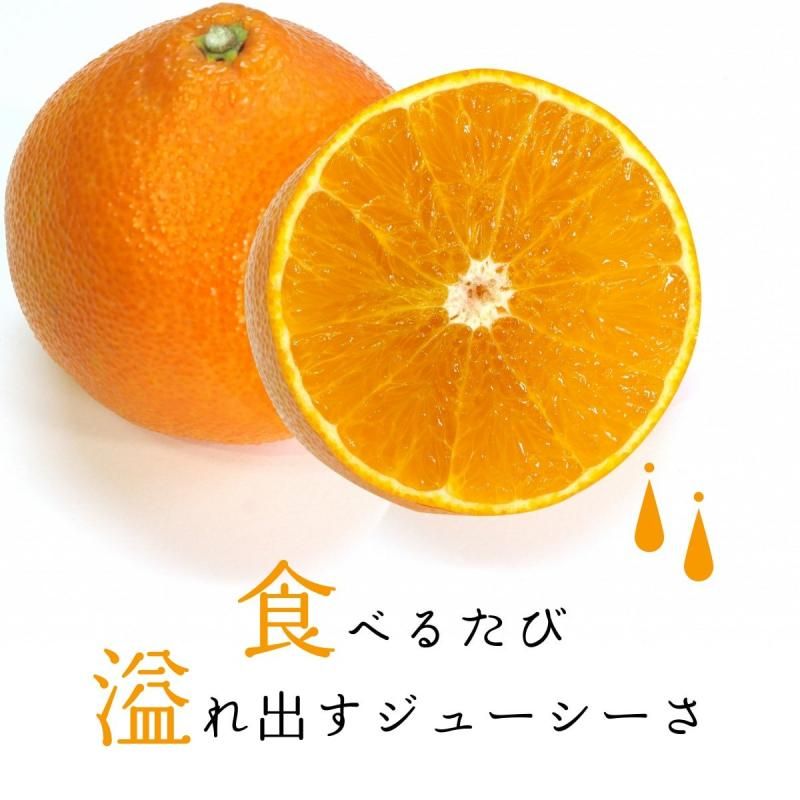 ͽʡ۹Ȥޤɤ  3L-L 3kg̵̳ƻˡ