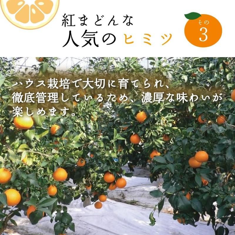 ͽʡ۹Ȥޤɤ  3L-L 3kg̵̳ƻˡ