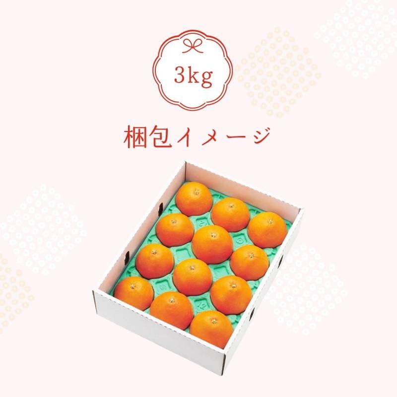 ͽʡ۹Ȥޤɤ  3L-L 3kg̵̳ƻˡ