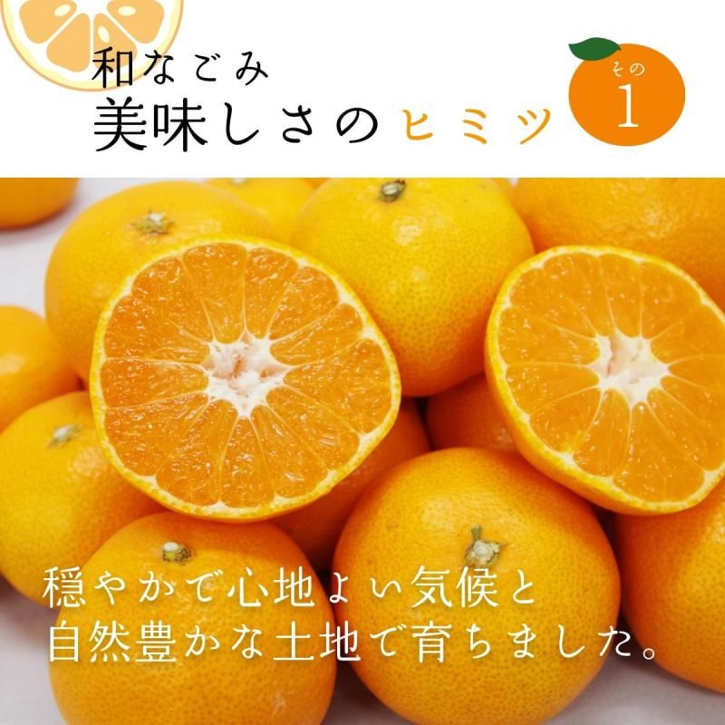 ߤʤζ (ʤ) S~L 5kg ӡ