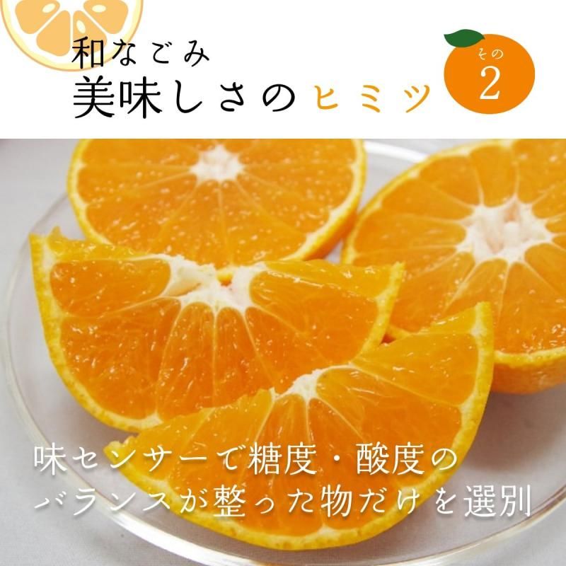 ߤʤζ (ʤ) S~L 5kg ӡ