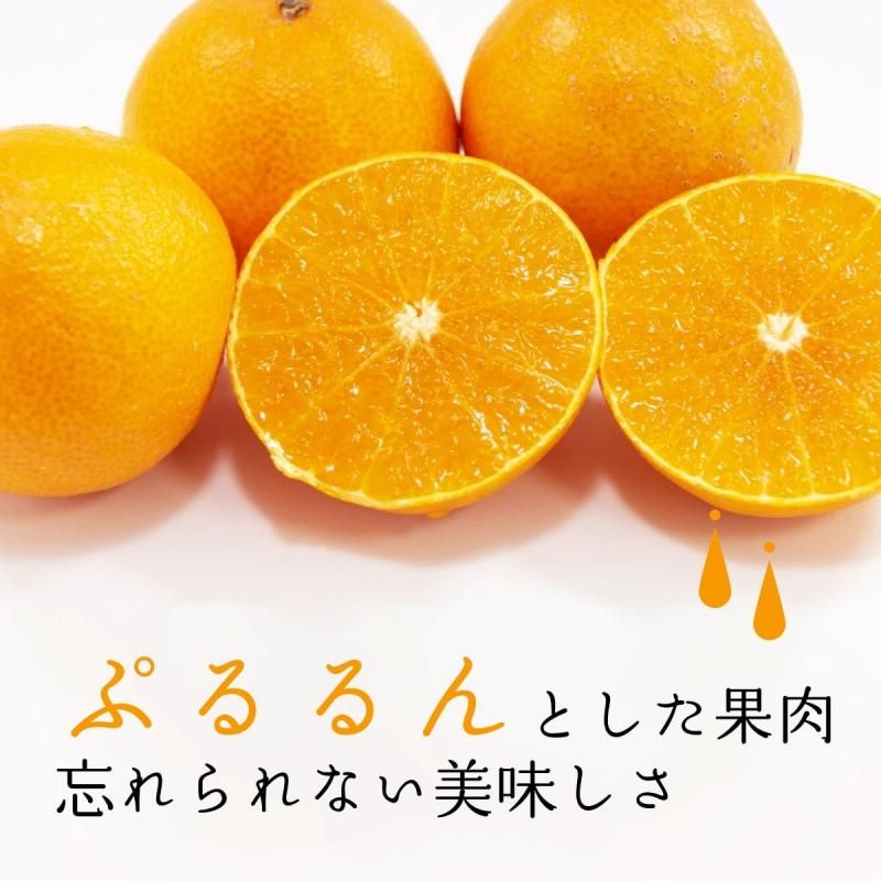 ͽʡ۰ɲ JAɲ  L~3L 5kg