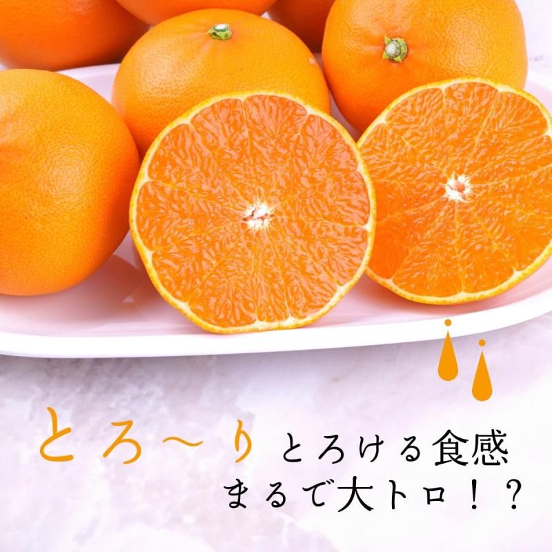 ͽʡۤȤڽʡL~3L 3kg 10̡12̡15̵̡̳ƻˡ