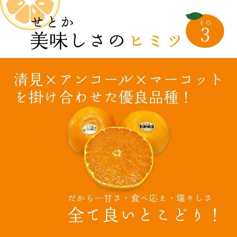 ͽʡۤȤڽʡL~3L 3kg 10̡12̡15̵̡̳ƻˡ