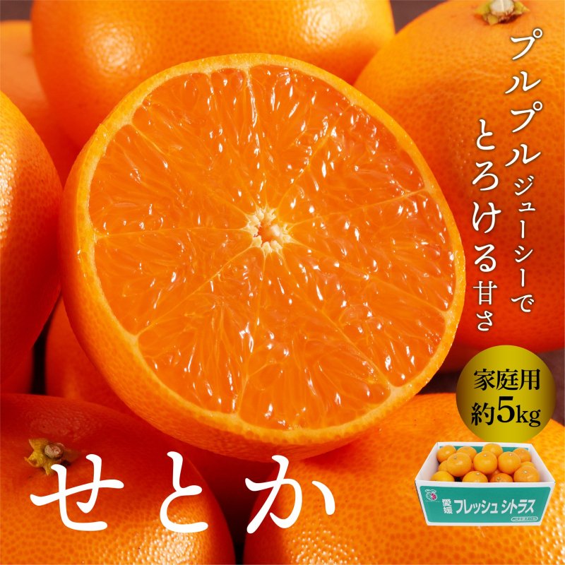愛媛県産　せとか　柑橘　　5kg