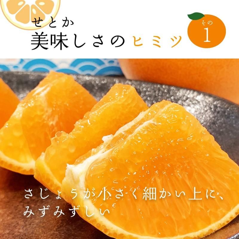 ͽʡۤȤڲѡͥʡL4L 3kg 10~15