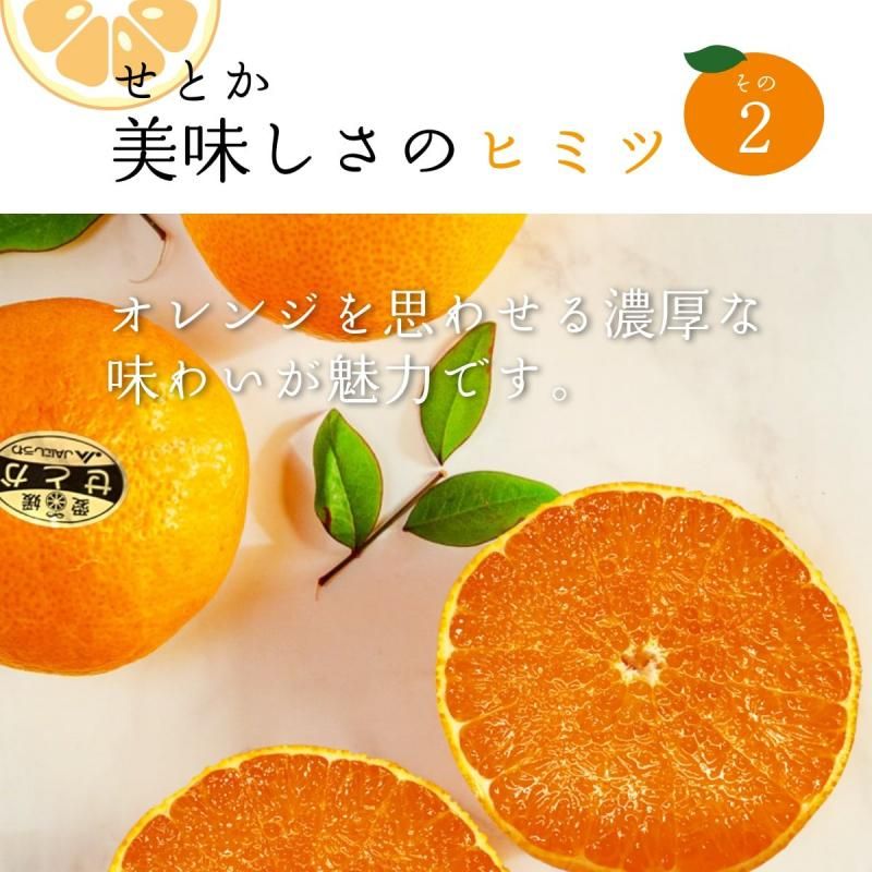 ͽʡۤȤڲѡͥʡL4L 3kg 10~15