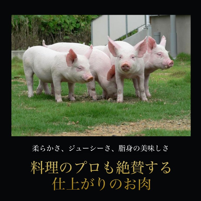 ブランド豚】愛媛甘とろ豚肩ロース 焼肉用（500g） - えひめギフトセンター