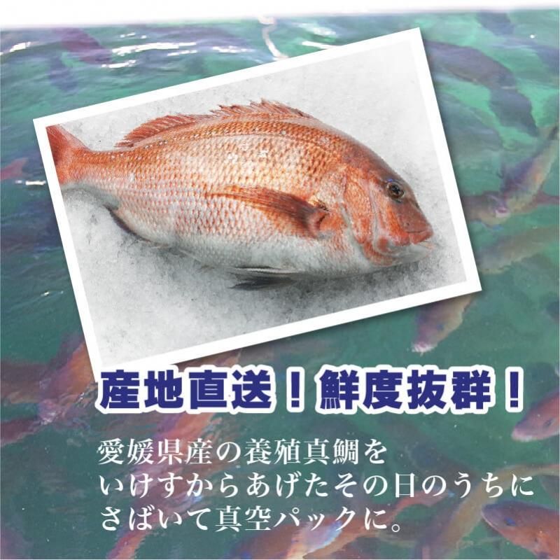 ɲܿ ʤƬդˣ礪̵(̳ƻ)