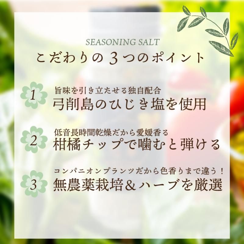 ϡ֥ӡ