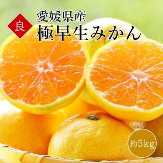 ߤ SML  5kg  40〜60
