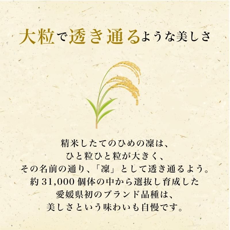 Ҥۥץߥ 10kg(5kg2)̵