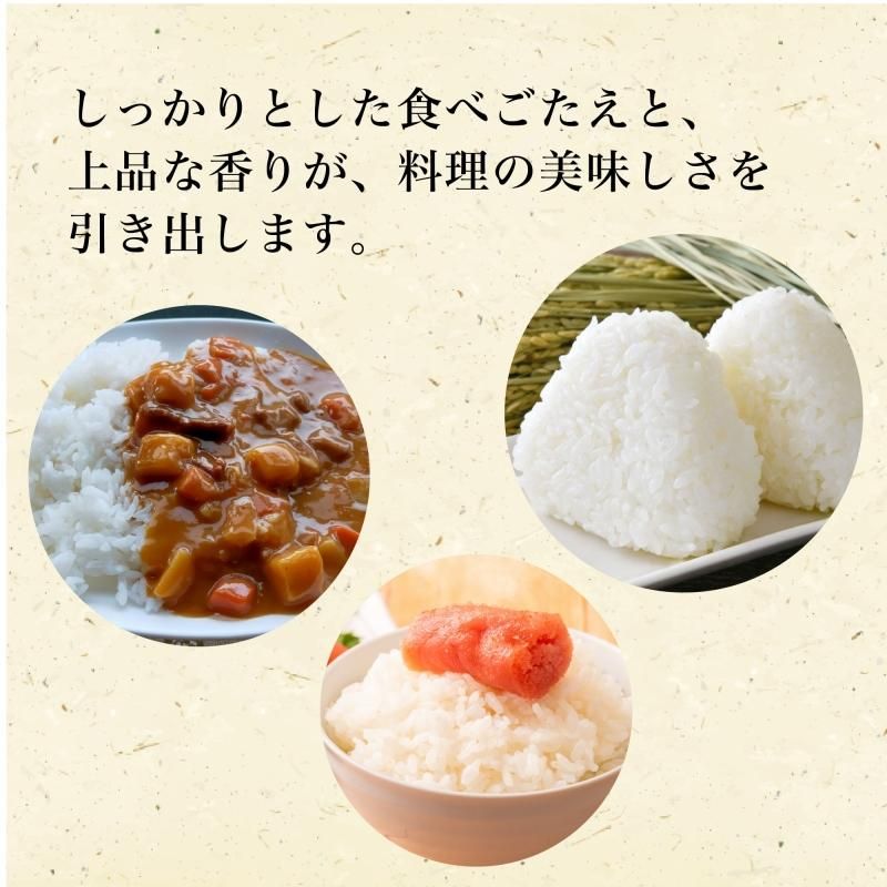 Ҥۥץߥ 10kg(5kg2)̵