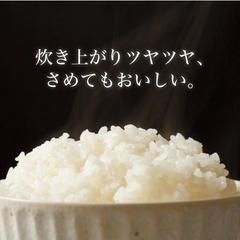 Ҥۥץߥ 4kg(2kg2)ӡ