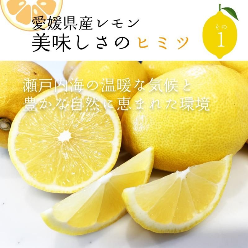 ɲ  L〜M 2kgӡ
