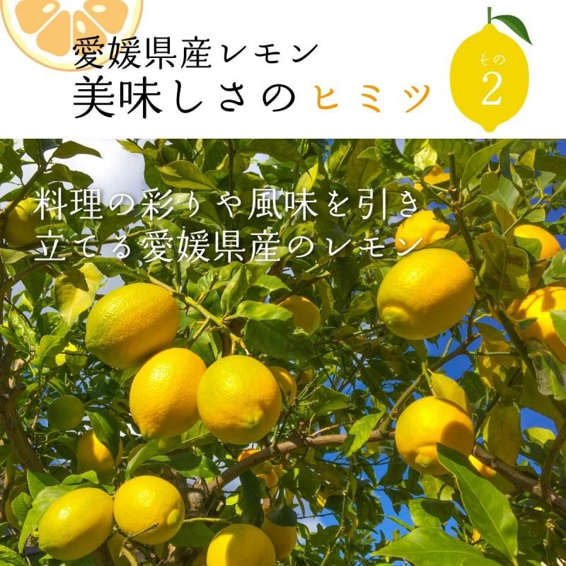 ɲ  L〜M 2kgӡ