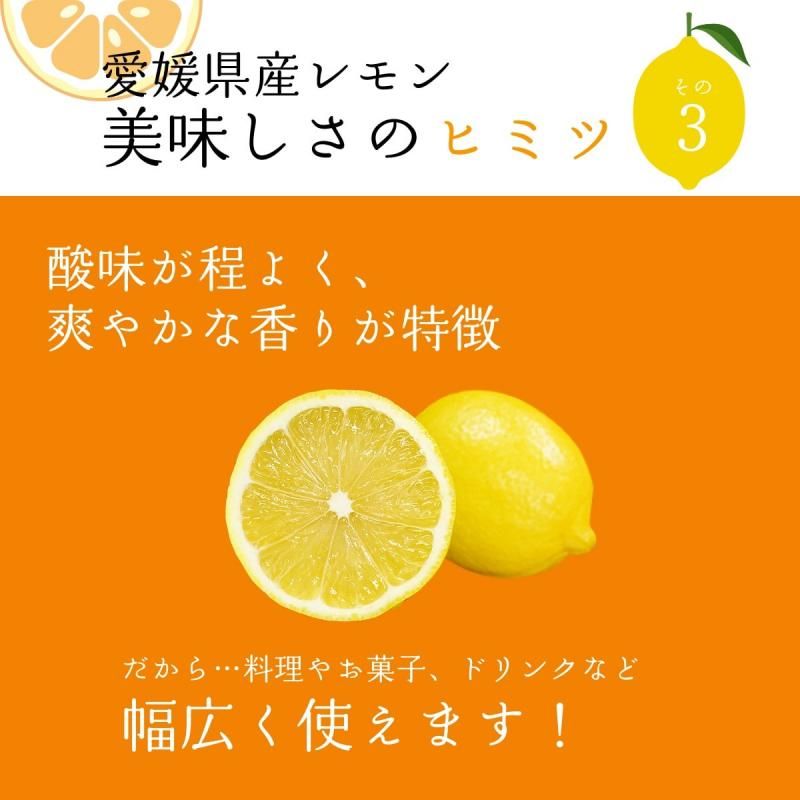 ɲ  L〜M 2kgӡ