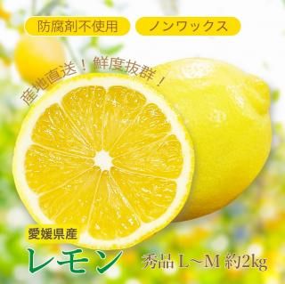 ͽʡ۰ɲ  L〜M 2kgӡ