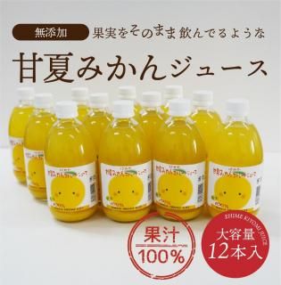 えひめのみかんジュース 500ml×6本セット - えひめギフト えひめのみかんジュース 500ml×6本セット - えひめギフト