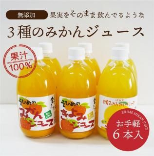 3Τߤ󥸥塼åȡʤߤ󡦤ߡŲƤߤ 500ml6ܡӡ