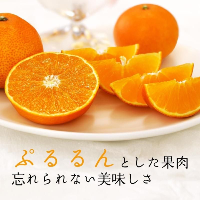 ͽʡ̴ޤɤ 3L~L  2kg  7〜10̵̡̳ƻˡ