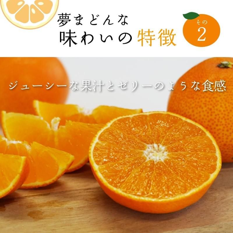 ͽʡ̴ޤɤ 3L~L  2kg  7〜10̵̡̳ƻˡ