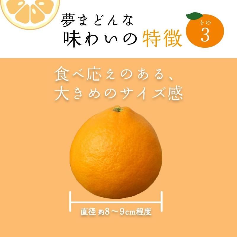 ͽʡ̴ޤɤ 3L~L  2kg  7〜10̵̡̳ƻˡ