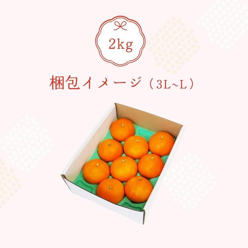 ͽʡ̴ޤɤ 3L~L  2kg  7〜10̵̡̳ƻˡ