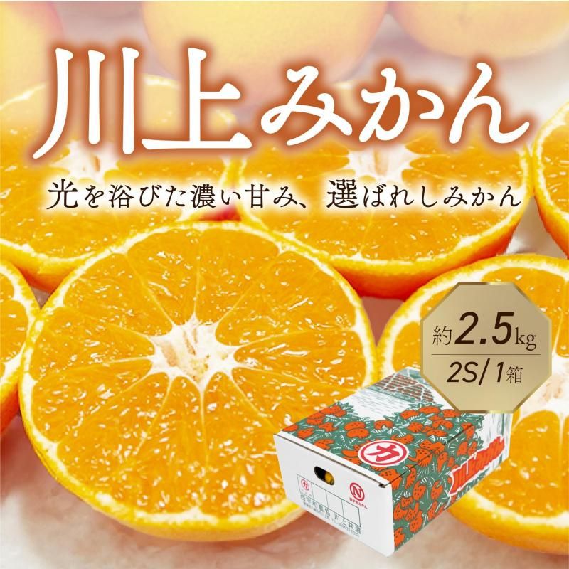 川上共選 川上みかん 小密柑2Sサイズ 約2.5kg 1箱【送料別途